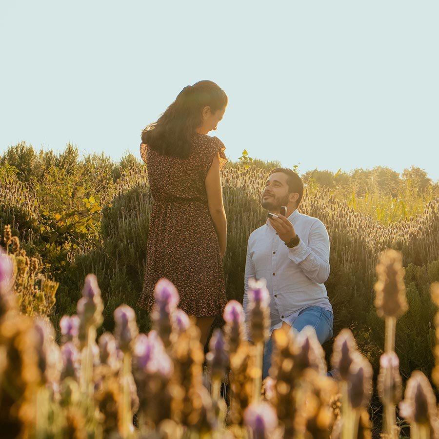 Popping the Question and becoming engaged in a lavender field - Camellio Wedding Planning and Events - Essex Wedding Planner