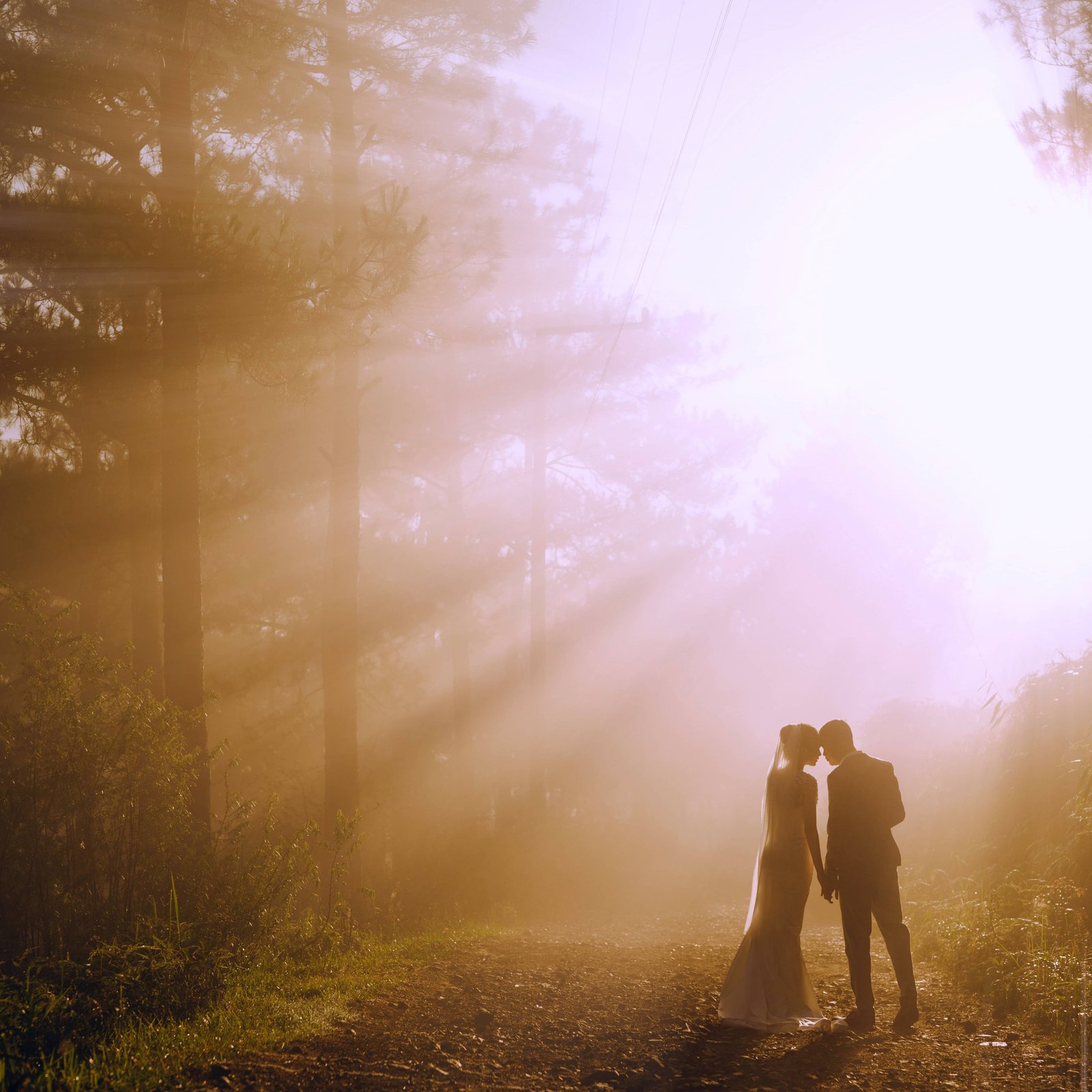 Wedding couple in the woods with dazzling sunshine - Camellio Wedding Planning and Events - Essex Wedding Planner